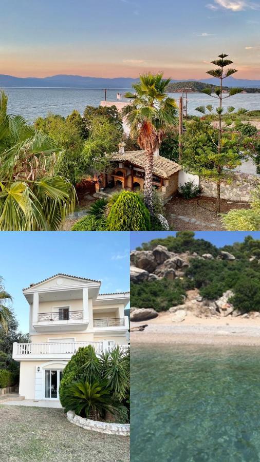 Villa Sul Mare Халкіда Екстер'єр фото